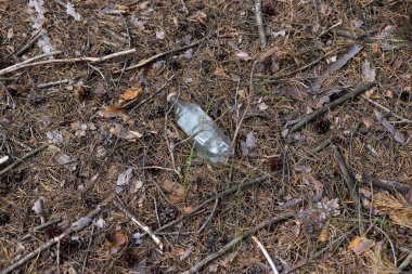 Bir çam ormanında yerde beyaz plastik şişe.