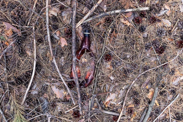 Brązowa plastikowa butelka na ziemi w sosnowym lesie. — Zdjęcie stockowe