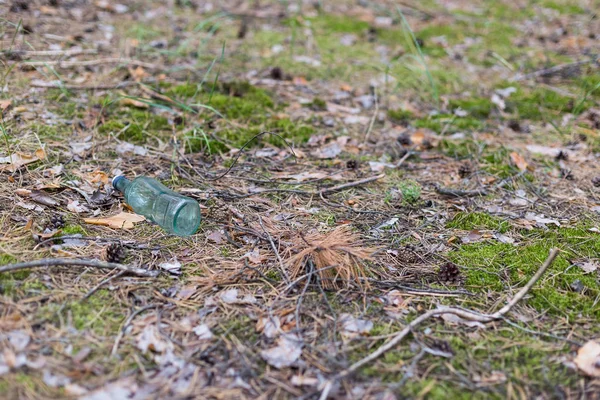 Glass bottle on the ground in a pine forest. — Stock Photo, Image