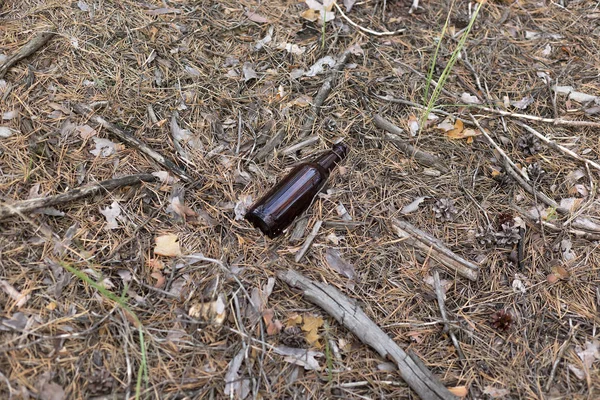 Braune Glasflasche auf dem Boden in einem Kiefernwald. — Stockfoto