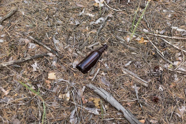 Garrafa de vidro marrom no chão em uma floresta de pinheiros . — Fotografia de Stock