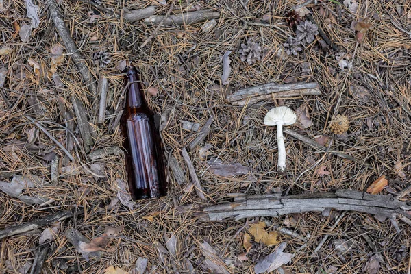 Brown glass bottle on the ground in a pine forest. — Stock Photo, Image