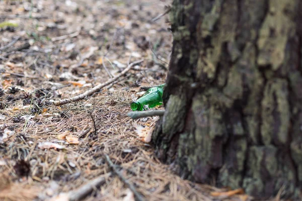 Grön glas flaska på marken i en tallskog. — Stockfoto