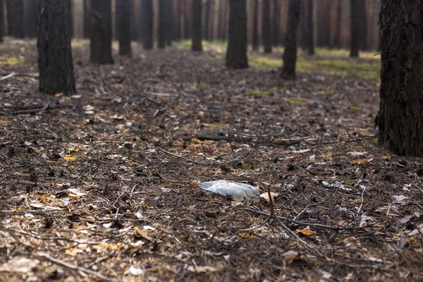 Λευκό πλαστικό μπουκάλι στο έδαφος σε ένα πευκοδάσος. — Φωτογραφία Αρχείου