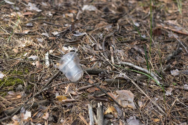 Πλαστικό κύπελλο στο έδαφος σε ένα πευκόδασος — Φωτογραφία Αρχείου