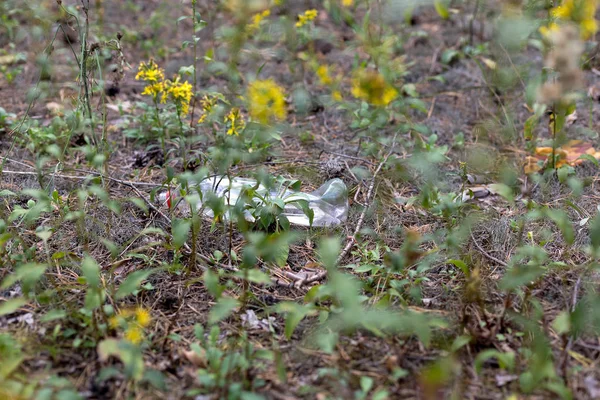 Bílá plastová láhev na zemi v borovicovém lese. — Stock fotografie