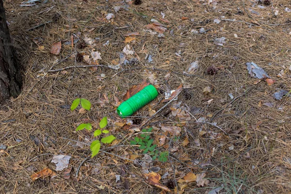 松林地面的绿色塑料瓶. — 图库照片