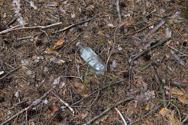 Bílá plastová láhev na zemi v borovicovém lese. — Stock fotografie