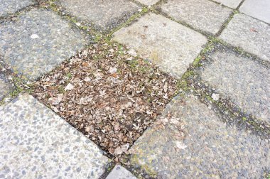 Parkta eski kaldırım levhası