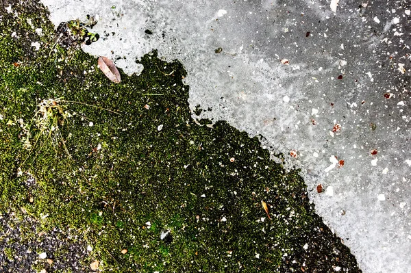 Terreno con erba e neve — Foto Stock