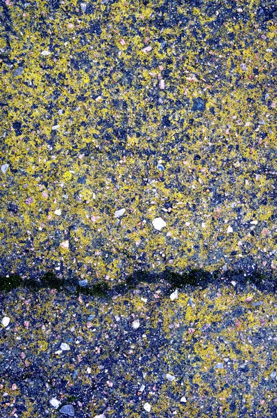 Textura de fondo de asfalto con grietas y musgo — Foto de Stock