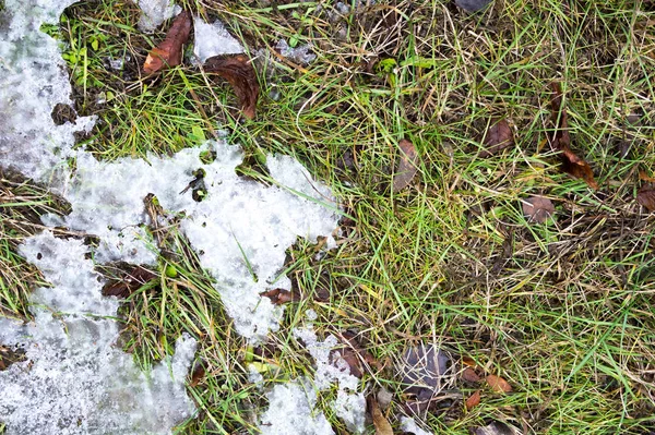 Γρασίδι με φόντο την υφή του χιονιού — Φωτογραφία Αρχείου