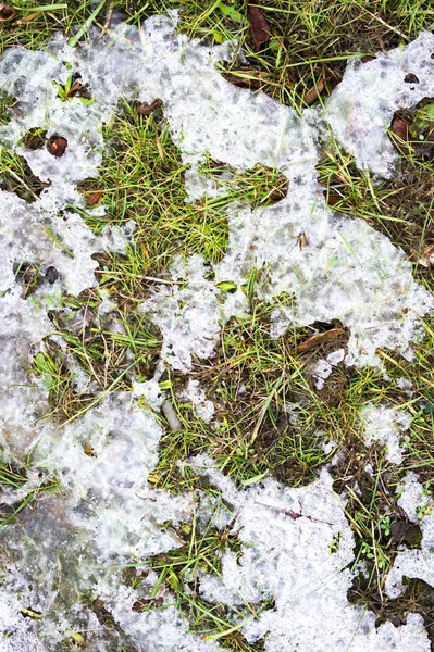 Текстура травы и снега — стоковое фото