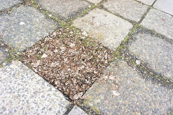 Parkta eski kaldırım levhası