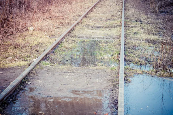 Det oversvømte rette jernbanespor med sviller av tømmer – stockfoto