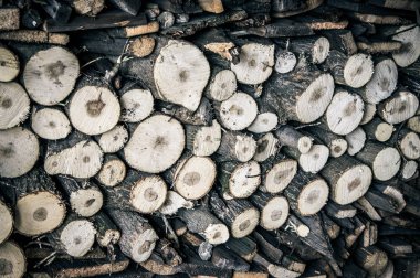 Yakacak odun için kış hasat