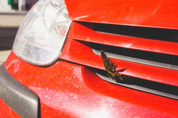 車は鳥を倒した。鳥の翼が付いている自動グリル. — ストック写真
