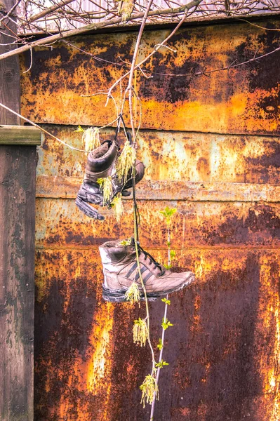 Alte Stiefel auf dem Ast — Stockfoto