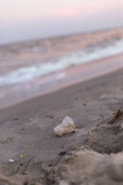Deniz kıyısında küçük bir plastik bardak.