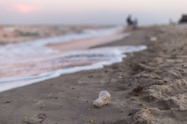 Deniz kıyısında küçük bir plastik bardak.