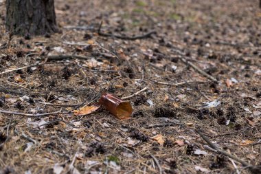 Bir çam ormanında yerde kahverengi plastik şişe. 