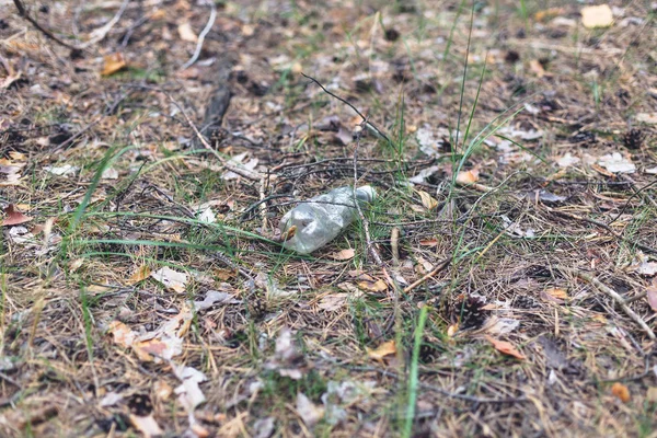 Botella de plástico blanco en el suelo en un bosque de pinos . —  Fotos de Stock