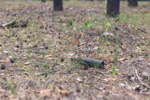 Bruine glazen fles op de grond in een dennenbos. — Stockfoto