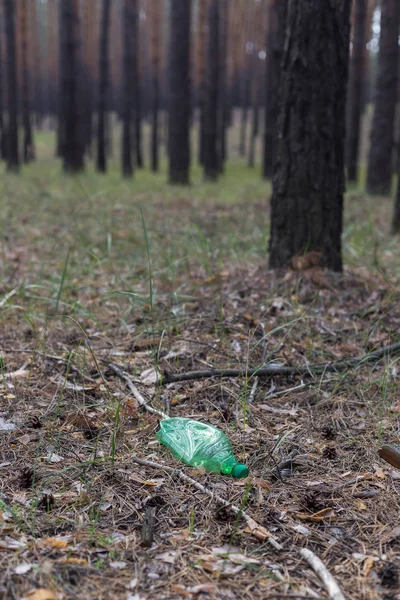 Zielona plastikowa butelka na ziemi w sosnowym lesie. — Zdjęcie stockowe