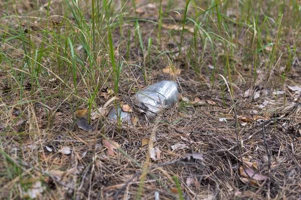Bir çam ormanında yerde beyaz plastik şişe. — Stok fotoğraf