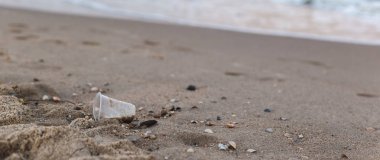 Deniz kıyısında küçük bir plastik bardak.