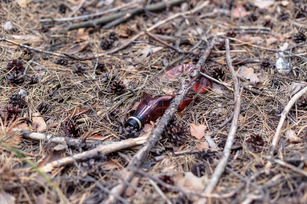 Barna műanyag palack a földön egy fenyőerdőben. — Stock Fotó