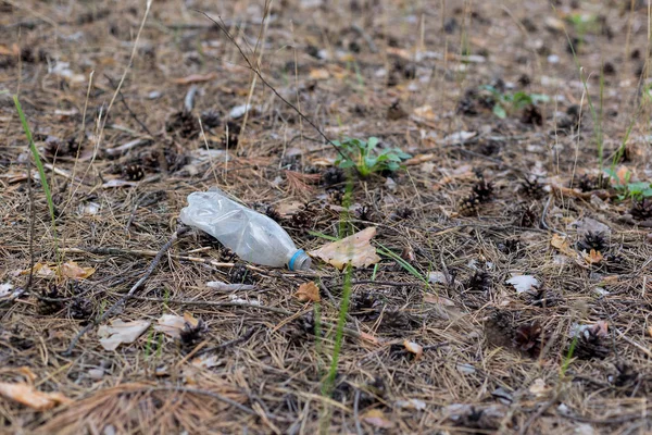 White plastic bottle on the ground in a pine forest.
