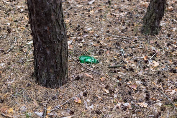 Grüne Plastikflasche auf dem Boden in einem Kiefernwald. — Stockfoto