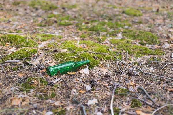 Groene glazen fles op de grond in een dennenbos. — Stockfoto