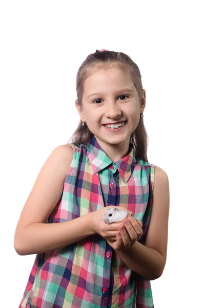 Menina Bonito Com Hamster Branco Isolado Fundo Branco — Fotografia de Stock