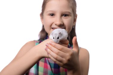 Beyaz arka planda beyaz hamsterlı tatlı küçük kız.