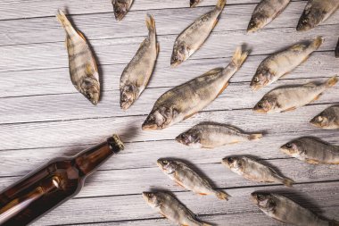 Beyaz ahşap arka planda kurumuş levrek ve kahverengi cam bira şişesi. Stüdyo fotoğrafı.