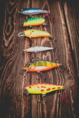 Tahta arka planda bir grup yaltakçının stüdyo fotoğrafı. Sivri uçlu fotoğraf