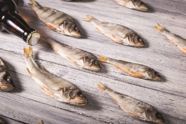 Beyaz ahşap arka planda kurumuş levrek ve kahverengi cam bira şişesi. Stüdyo fotoğrafı.
