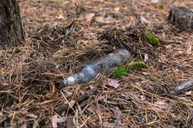 Çam ormanında yerde cam bir şişe..