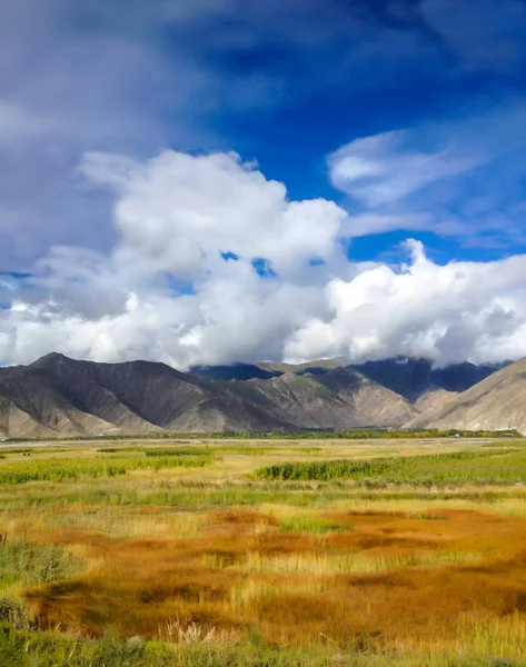 Piękny Widok Kolorowe Naturalne Pole Trawa Łąka Azji Pasm Górskich — Zdjęcie stockowe