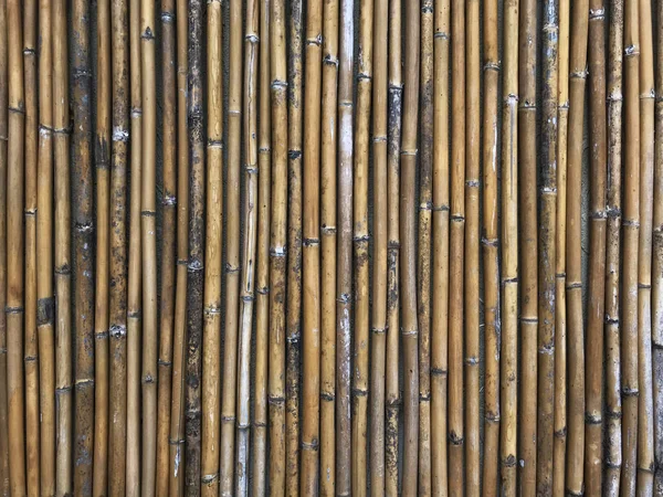 Bambusové Dřevo Materiál Pozadí Koncepce Designu Interiéru Pro Pozadí Tapety — Stock fotografie