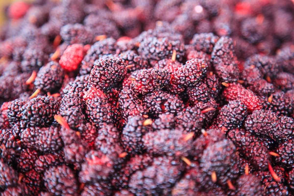 ripe red and dark purple sweet flavor mulberry fruit background. Health benefits of mulberries include, to improve digestion, lower cholesterol, aid in weight loss, prevent cancer, slow down aging