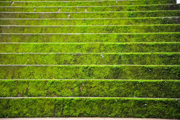 Jasny Zielony Mechate Kamienne Schodów Kroki Pod Górę Tło Sezonie — Zdjęcie stockowe