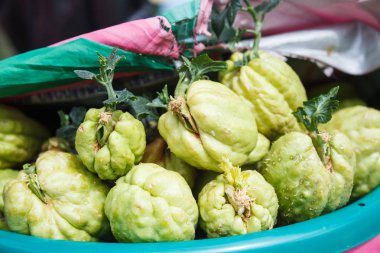 Acı kavun (balsam apple, balsam armut, acı salatalık, acı kabak, acı kabak) bilinen Asya çiftçi pazarda taze yeşil organik sebze, Momordica charantia, çiftlik. Doğal gıda, meyve