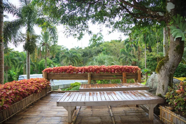 tropical rural house home garden bamboo wooden on balcony terrace with natural forest view background. Interior, Exterior Architectural building and landscape decoration design, living with nature