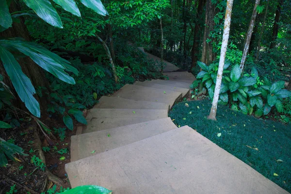 Извилистые Ступени Лестницы Зеленом Саду Природного Парка Спорт Отдых Всей — стоковое фото