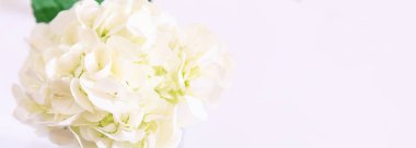 Beyaz masa elbise arka plan üzerinde beyaz çiçek buketi çiçek açmış. Dekoratif süs çiçek, Doğa, Sevgililer günü, ev dekorasyon, gelin düğün, çiçek düzenleme ve iç kavramı