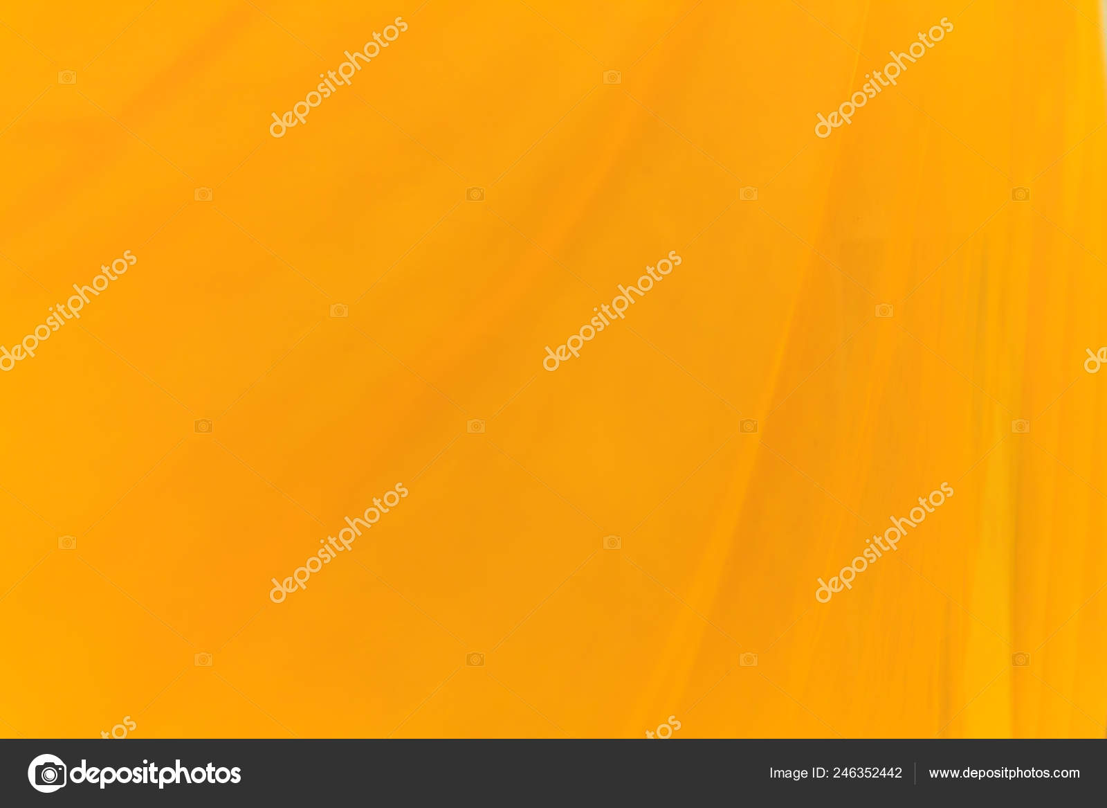Ordained Buddhist Monk's Traditional Saffron Robe Texture Pattern ...