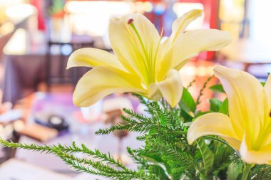 Güzel çiçek sarı zambak (Lilium), taze doğal renkli çiçek arka plan. Çiçekçi, iç dekorasyon, çiçek buketi, aranjman, süs Bahçe, sevgi, sembol ve cenaze kavramı